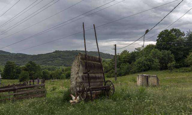 Die Landschaft, die Wildnis und das Landleben lockten Colin Shaw nach Rumänien.