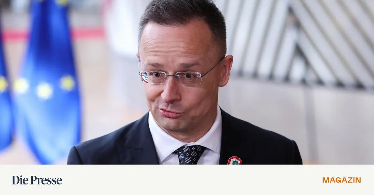 -Stehe-stets-zu-Ihren-Diensten-Ungarns-Au-enminister-Szijj-rt-buckelt-in-Telefonat-vor-Lawrow-premium-