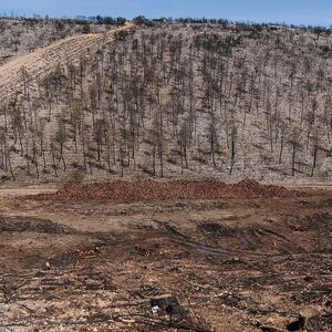 Der Klimawandel verursacht in einigen Gebieten auch mehr Trockenheit.