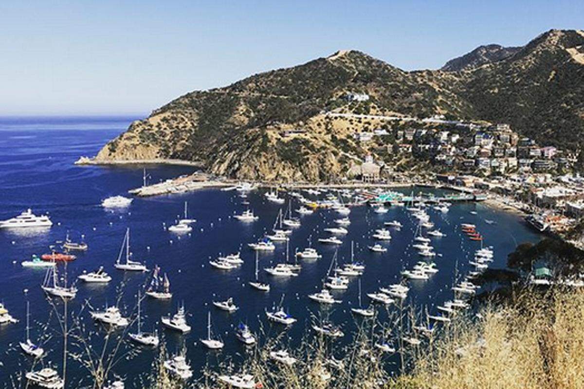 Zwischen Los Angeles und Catalina Island liegen nur etwa 35 Kilometer. "Hier legen an vier bis fünf Tagen die Woche große Ausflugsschiffe an. Andere Besucher kommen mit ihren eigenen Booten oder fliegen her", berichtet Frank Galea.