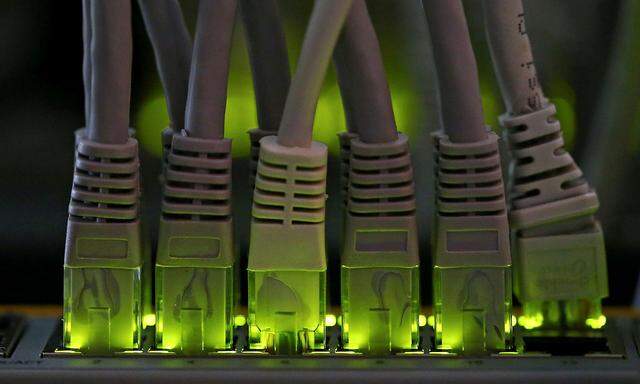 FILE PHOTO: LAN network cables plugged into a Bitcoin mining computer server are pictured in Bitminer Factory in Florence