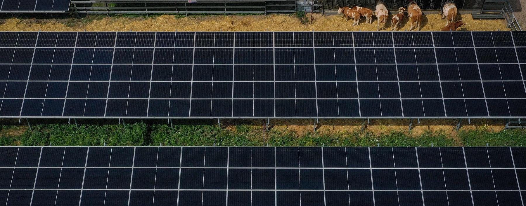 Die Stromproduktion aus dem Solarenergieträger erreicht Rekordwerte. 