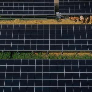 Die Stromproduktion aus dem Solarenergieträger erreicht Rekordwerte. 
