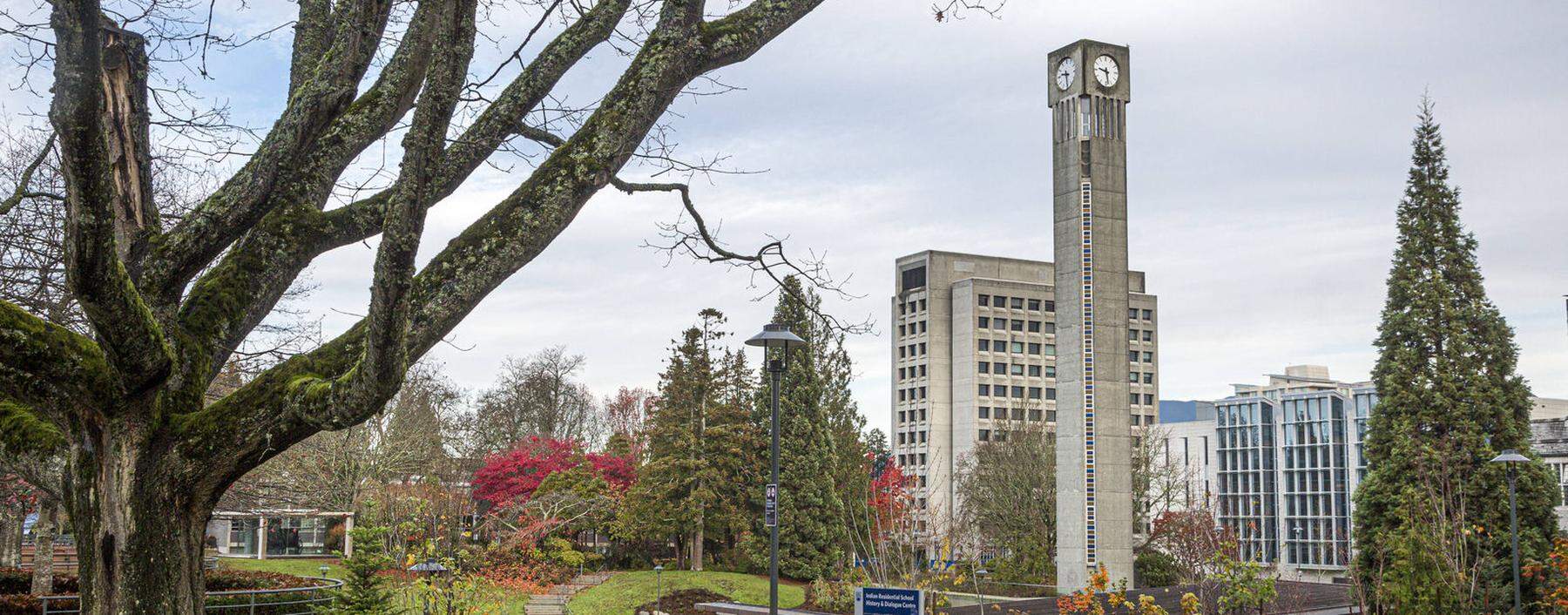 Die staatliche Universität UBC in der kanadischen Provinz British Columbia liegt direkt an der Pazifikküste.