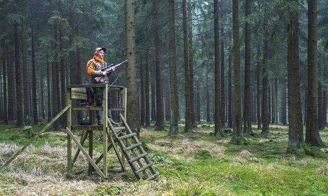 Jaeger auf Ansitzjagd Rotwildjagd Deutschland Niedersachsen hunter on raised hide deer hunting