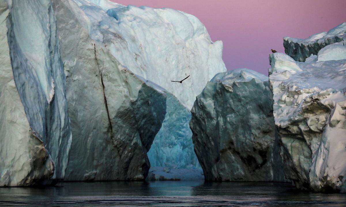 16. September. Eisberge am Eingang zum Jakobshavn Eis-Fjord im Sonnenuntergang von Ilulissat auf Grönland.  