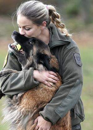Die Hunde des Heeres leben ähnlich wie Familienhunde bei ihren zugeteilten Soldaten zu Hause. 