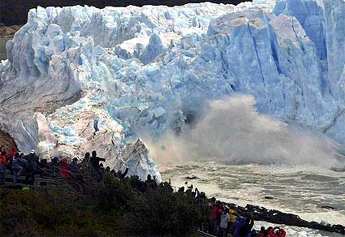 Der Valdivian-Regenwald in Chile und Argentina: Im Regenwald der gemäßigten Temperaturzone sind die Alerce-Bäume oder Patagonischen Zypressen (Fitzroya cupressoides) von nachlassenden Regenfällen gefährdet. Der Rückgang der Gletscher beeinflusst außerdem den Grundwasserspiegel. (Im Bild: Perito Moreno Gletscher, Argentinen)