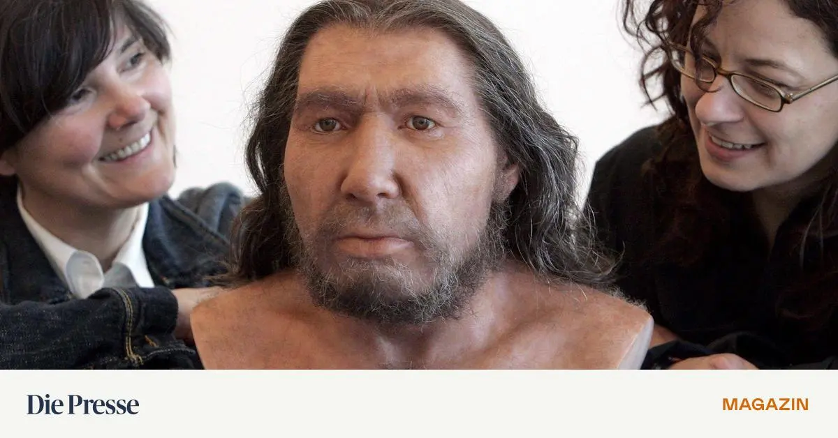 Unterschied-zum-Neandertaler-Ein-Gen-das-die-Chemie-im-Hirn-pr-gt-