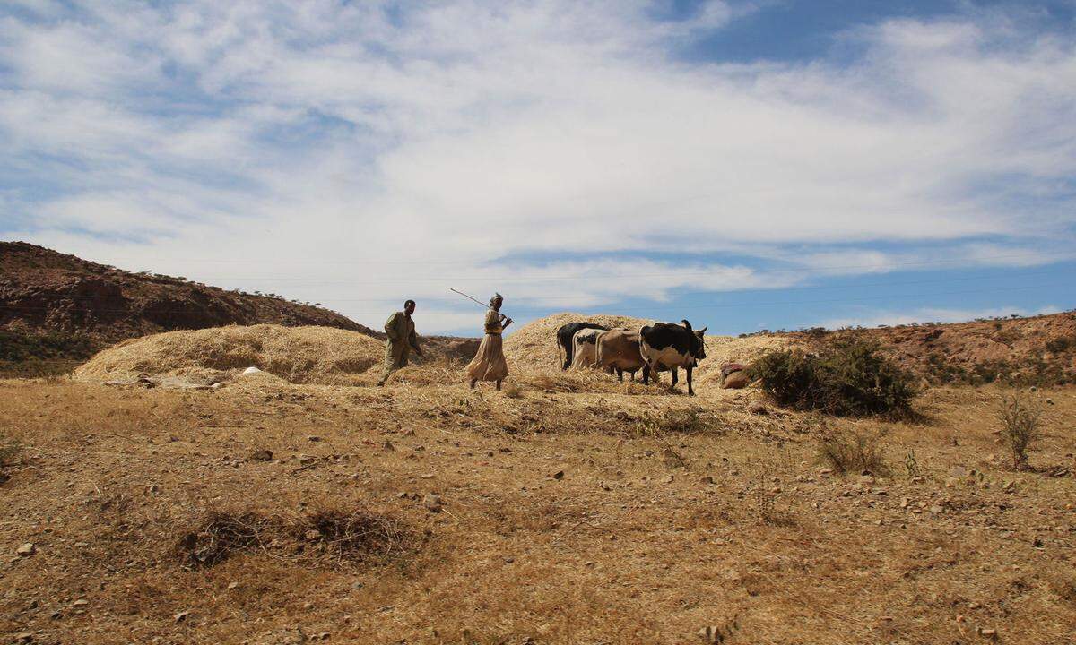 Eine schwere Dürre macht dem von der Außenwelt abgeschotteten Eritrea zu schaffen. In solchen schlechten Zeiten kann die Ernte nur 20 bis 30 Prozent des Bedarfs der Bevölkerung decken, die Hälfte der Kinder unter fünf Jahren ist wegen chronischer Mangelernährung unterentwickelt. Zwar wurden die Konflikte der früheren italienischen Kolonie mit den Nachbarstaaten Äthiopien und Somalia beigelegt, doch Landminen bleiben eine Gefahr für die Menschen. Der unbegrenzte Militärdienst verschärft die schlechte wirtschaftliche Lage zusätzlich, sodass Hunderttausende das Land verlassen. Auf der Fluchtroute durch die Sahara erwarten sie weitere Gräuel.