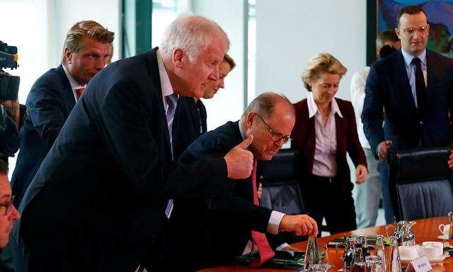 Innenminister Horst Seehofer bei der Kabinettssitzung am Mittwoch in Berlin.