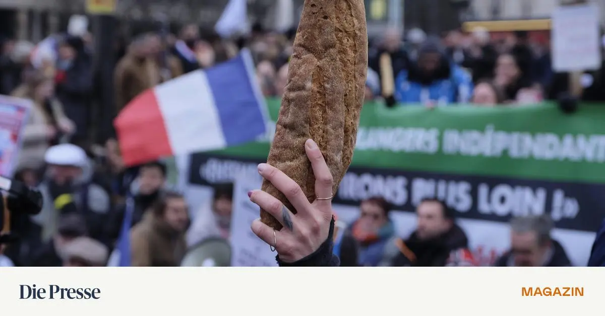 Ihr-wollt-Frankreich-verstehen-Bitte-zu-Tisch-premium-
