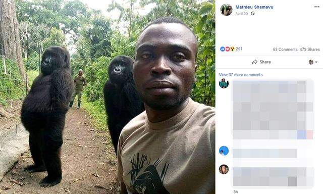Ungewöhnlich aufrecht sind die Gorillas hinter Ranger Mathieu Shamavu auf dem Selfie zu sehen.