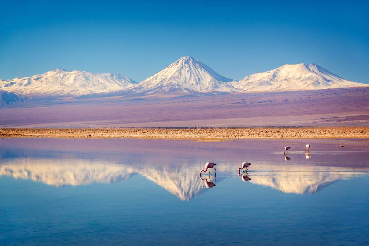 An Bord des Andean Explorers vom Titicaca-See nach Cusco erwarten Sie spektakuläre Landschaften Perus und Luxus auf Schienen. Die Laguna Chaxa (rechts) in der chilenischen Atacama-Wüste auf 2300 Metern Höhe beheimaten eine Vielzahl pinkfarbener Flamingos.