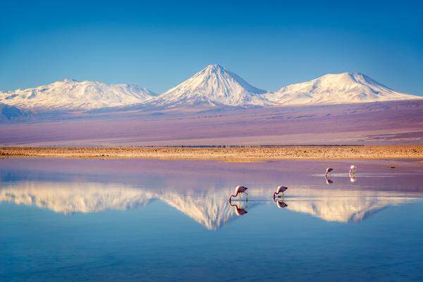 An Bord des Andean Explorers vom Titicaca-See nach Cusco erwarten Sie spektakuläre Landschaften Perus und Luxus auf Schienen. Die Laguna Chaxa (rechts) in der chilenischen Atacama-Wüste auf 2300 Metern Höhe beheimaten eine Vielzahl pinkfarbener Flamingos.