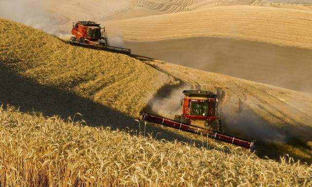 Zu viele Agrar-Subventionen begünstigen Großbetriebe und schaden der Umwelt, kritisiert die OECD.