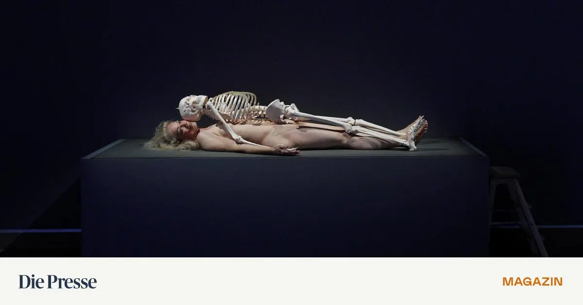 Nackt-Performerin-bei-Marina-Abramovi-Privat-w-rde-ich-nie-oben-ohne-gehen-premium-