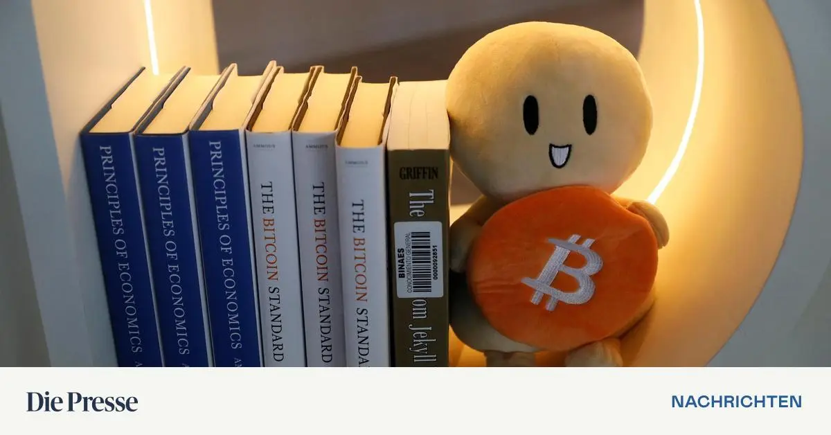 Bitcoin-ist-in-einen-verfr-hten-B-renmarkt-gerutscht-was-Anleger-nun-tun-k-nnen-premium-