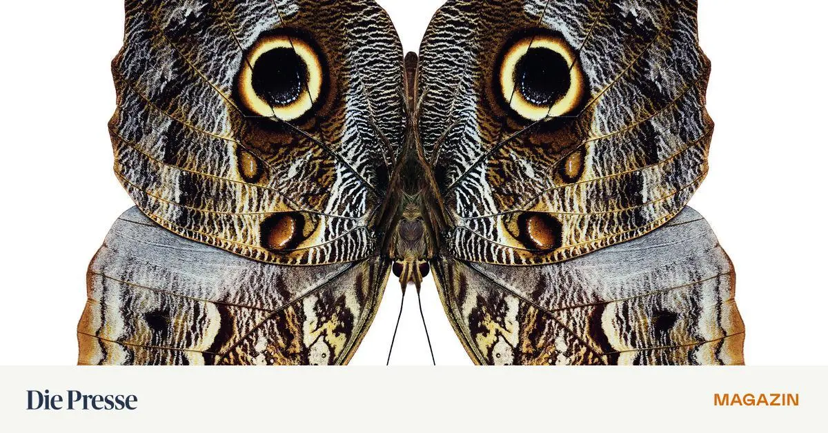 Dawkins-Sicht-des-Lebens-Wir-alle-sind-die-Verk-rperung-von-Viren-premium-