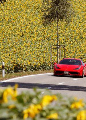 Ferrari sports car drives past a field of sunflowers near Siglisdorf