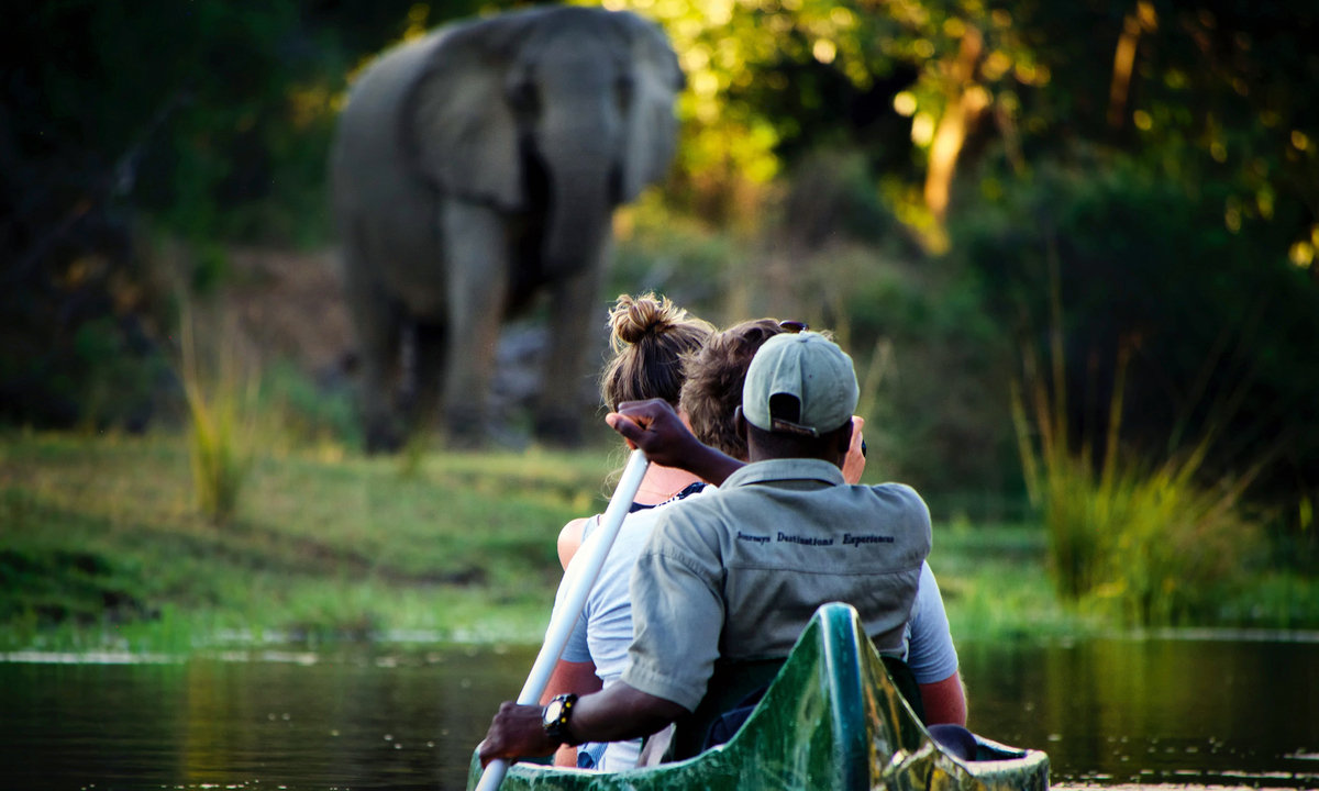 Gefährlich. Fluss- pferden sollte man auf dem Fluss Chongwe nicht zu nahe kommen. 