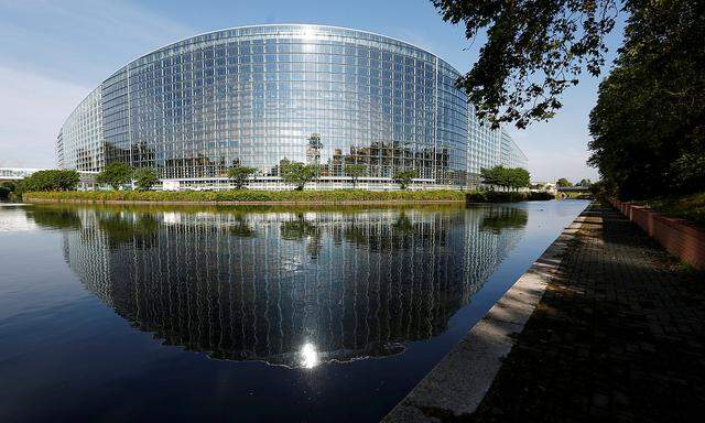 FILE PHOTO: The building of the European Parliament is seen in Strasbourg