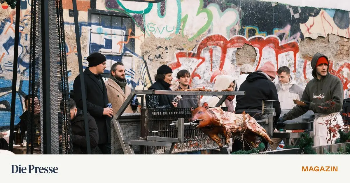 Ist-das-Fleisch-zur-ck-premium-