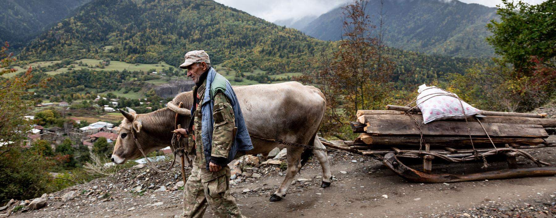 Ein Bauer mit seinem Ochsen in der Gemeinde Mestia. Die meisten Landwirte leben dort von Subsistenz- wirtschaft.
