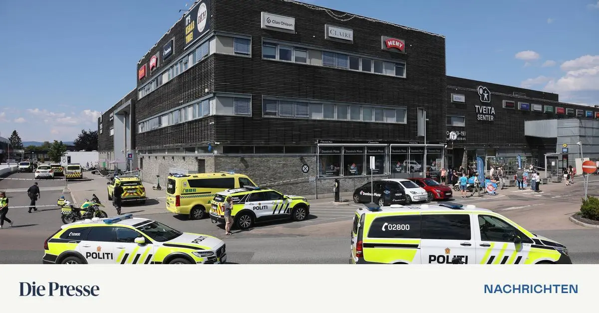 Fahndung-l-uft-Mehrere-Sch-sse-nach-Streit-in-Einkaufszentrum-in-Oslo