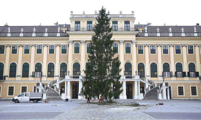Bereits Ende Oktober wurde der Weihnachtsbaum vor dem Schloss Schönbrunn aufgestellt, nun steht die Eröffnung des Weihnachtsmarktes bevor.