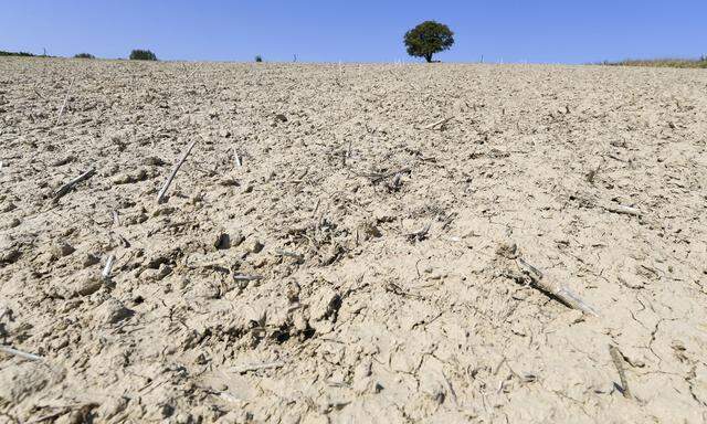 Dürre und Hitze treffen die Landwirtschaft hart, doch sie ist mitverantwortlich.