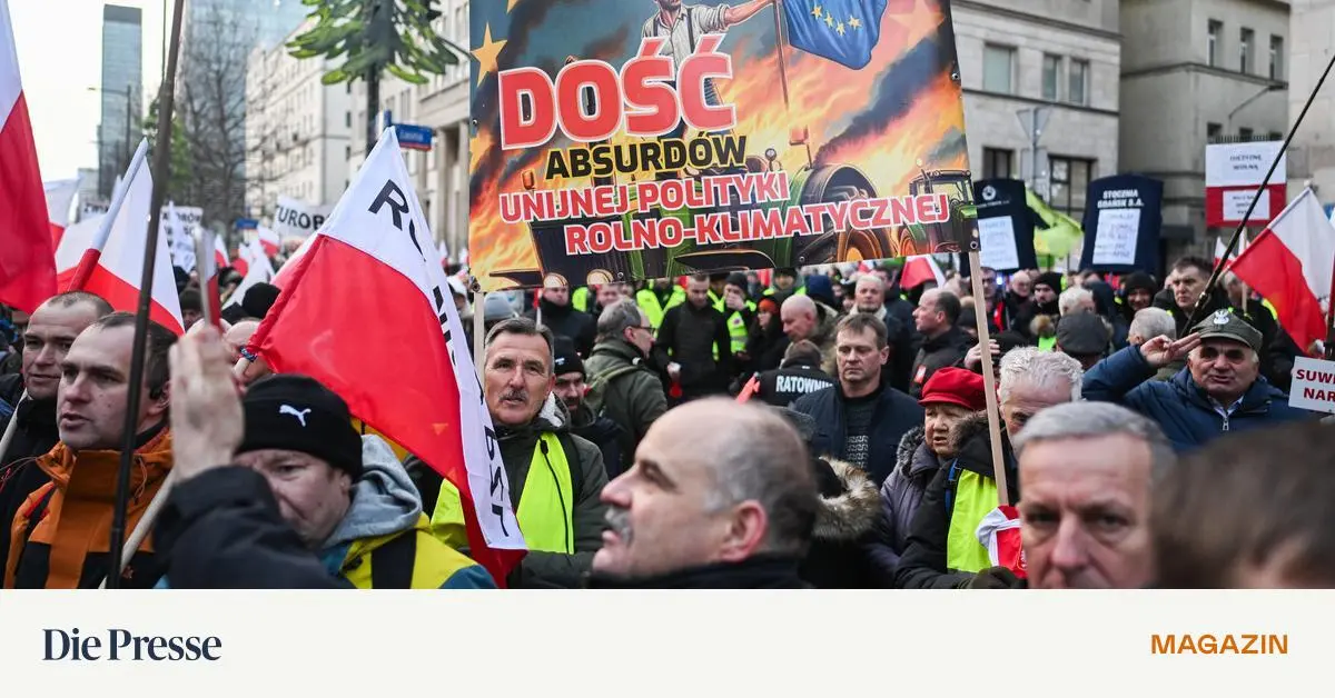 Die-fetten-Jahre-ppiger-EU-Gelder-sind-vorbei-premium-