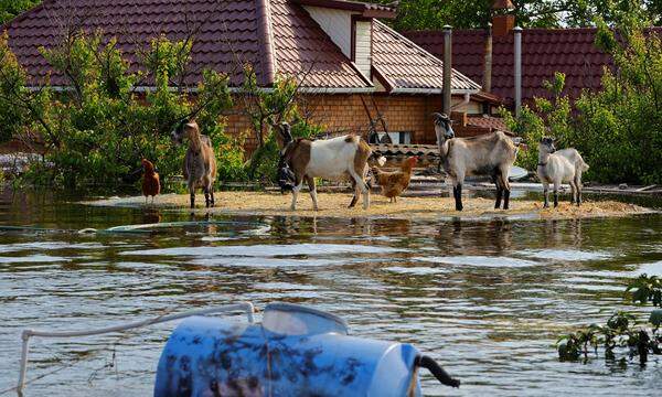 Die Ortschaft Hola Prystan in der Region Cherson wurde von dem gesprengten Damm und den folgenden Überschwemmungen schwer getroffen.