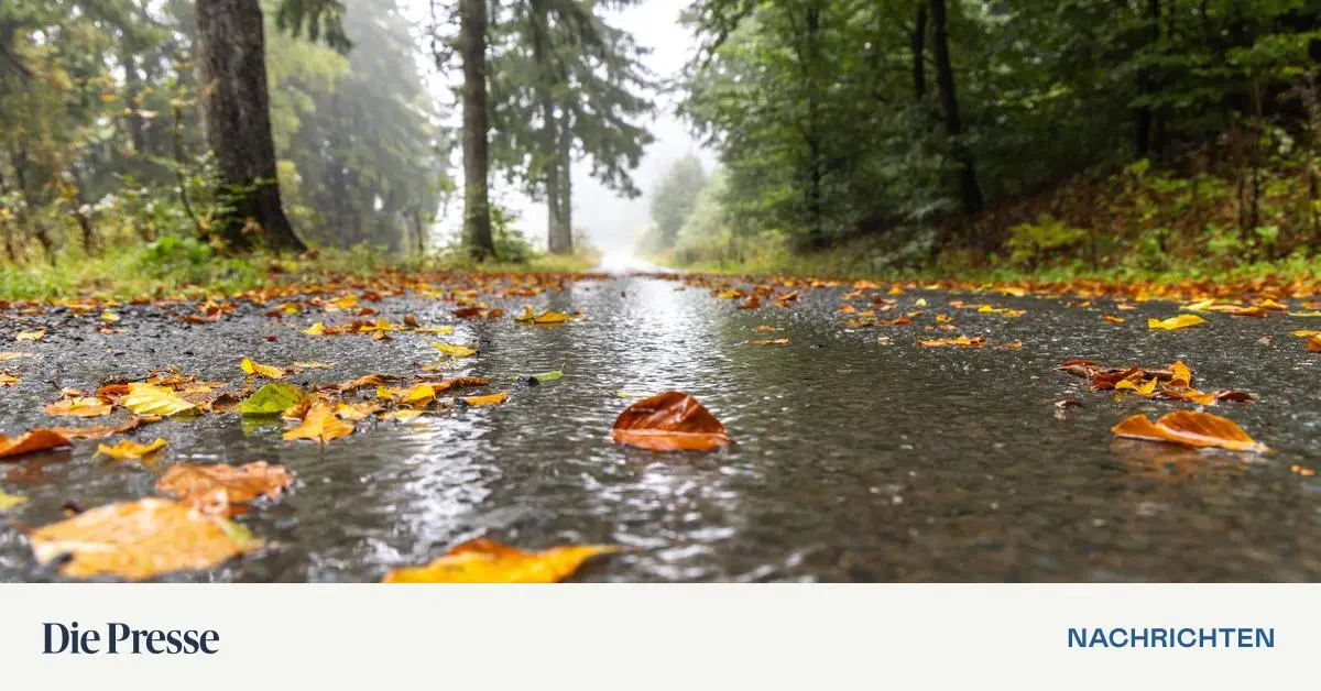 Wetter-zun-chst-regnerisch-aber-die-Sonne-kommt-zur-ck
