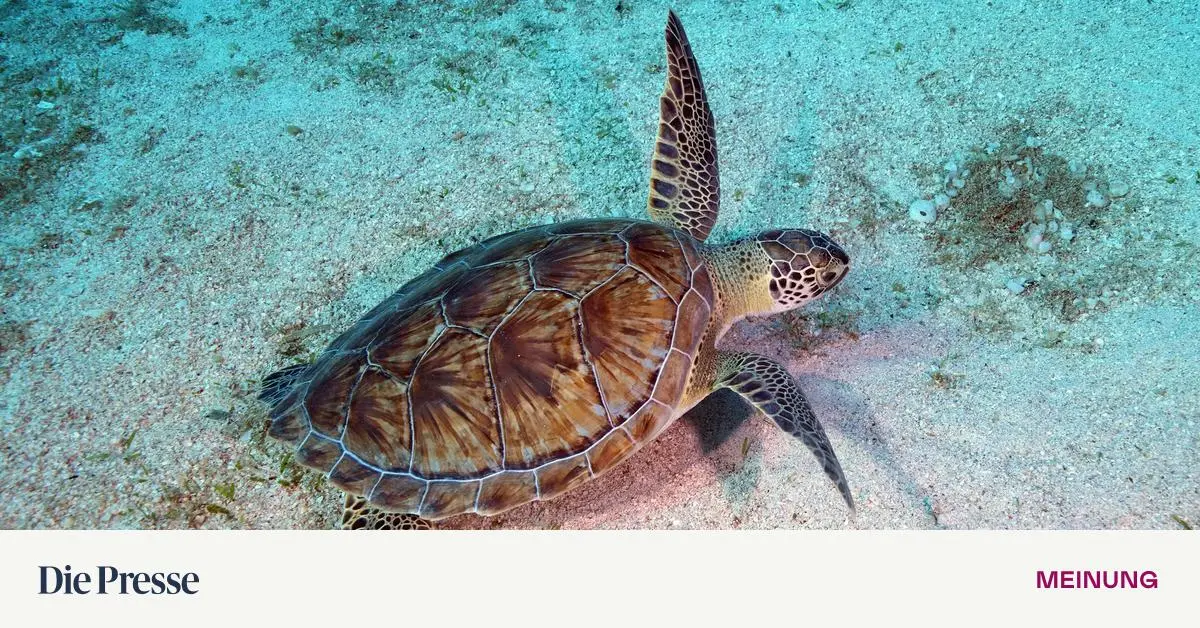 Diese-Firma-entwickelt-Fahrzeuge-der-besonderen-Art-die-Aktie-k-nnte-laut-Experten-um-bis-zu-100-Prozent-steigen-premium-