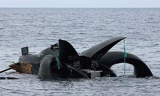 Walfaenger Tierschuetzer gleichermassen Schuld