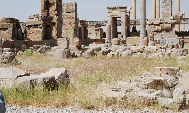 Im altpersischen Persepolis wächst das Ziegengras zwischen den archäologischen Ausgrabungen. 