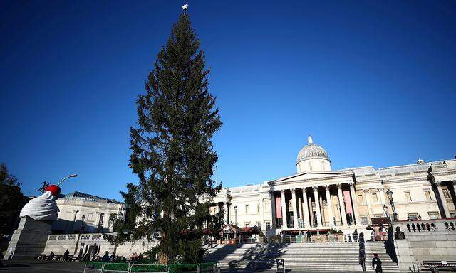 FILE PHOTO: A view of the Trafalgar Square Christmas tree in London