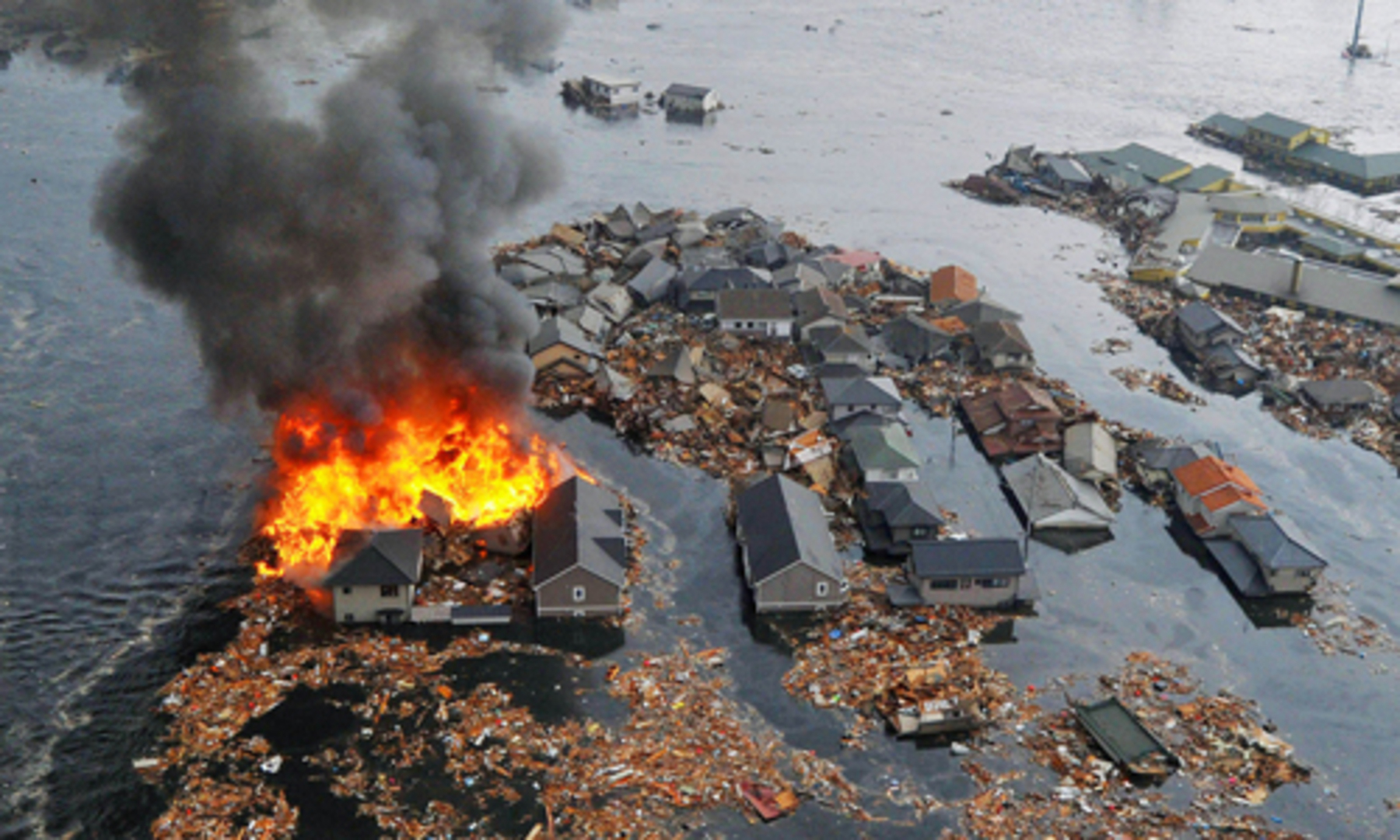 Nach Tsunami in Japan: Mehr als 1800 Tote befürchtet – DiePresse.com