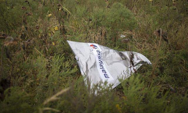 A piece of wreckage of the downed Malaysia Airlines flight MH17 is pictured near the village of Hrabove (Grabovo) in Donetsk region