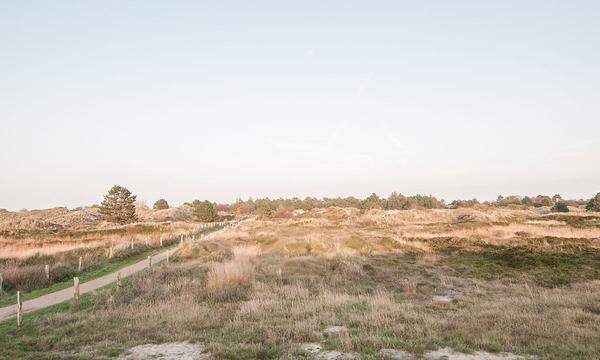 Die vollständig verglaste Rückseite öffnet den Blick zu den Dünen des Wattenmeeres.