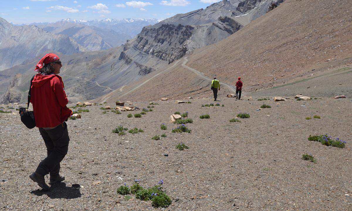Beim Wandern im Hochland von Ladakh entdeckt man neben nackten Bergen und feinem Buttertee auch etwas, das im Alltag oft viel zu kurz kommt: die eigene Langsamkeit. Die Impressionen zu dieser Reise finden Sie hier, die Reportage gibt es &gt;&gt; einen Link weiter.