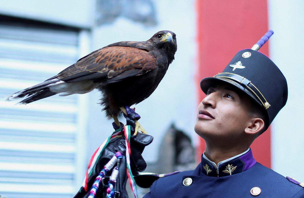 16. September. Ein Angehöriger der mexikanischen Streitkräfte hält einen Greifvogel in der Hand, während er sich auf eine Militärparade zum Unabhängigkeitstag vorbereitet 