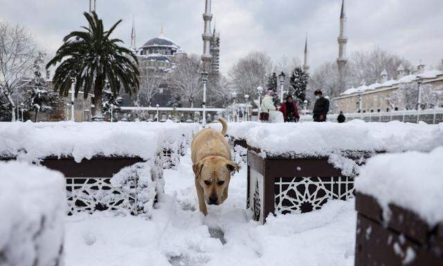 Der Schnee hat in Istanbul die Straßen fest im Griff