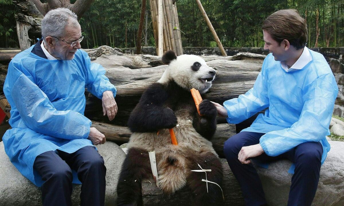 ++ HANDOUT ++ STAATSBESUCH IN CHINA: BESUCH DES DU JIANGYAN PANDA PARKS: VAN DER BELLEN / KURZ