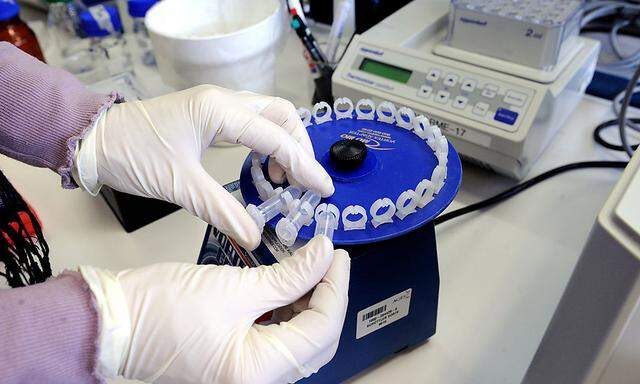 Nestle entdeckt Pferde-DNA in einigen Produkten 