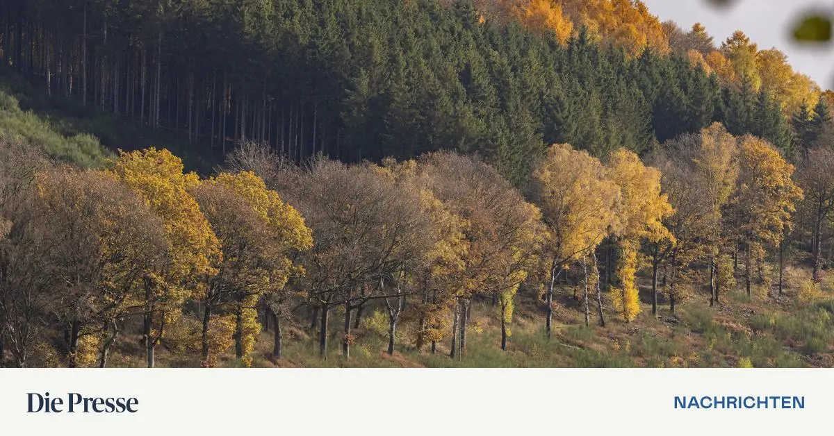 Herbst-bringt-Sonne-und-milde-Temperaturen