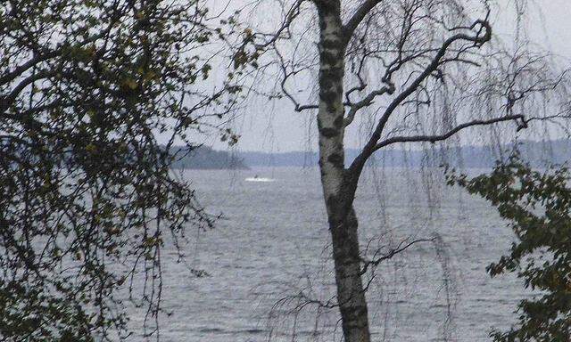 Ein Amateurfoto, das laut der schwedischen Armee das unbekannte Objekt zeigen soll