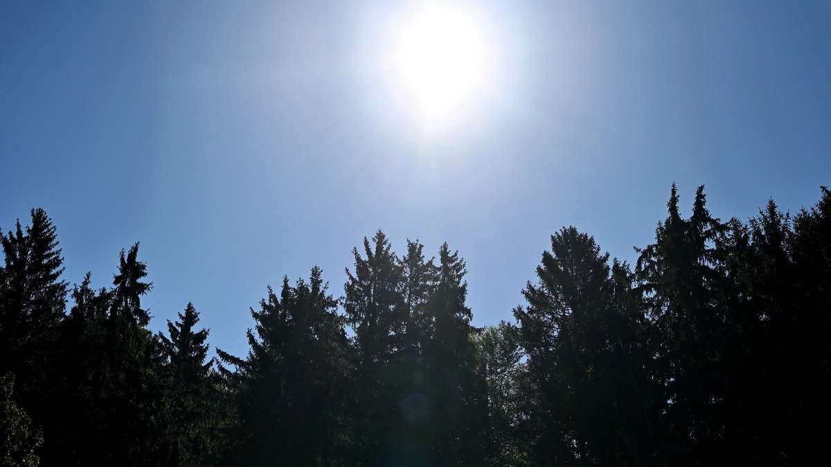 Österreich erlebt 2026 den trockensten Frühling seit Messbeginn