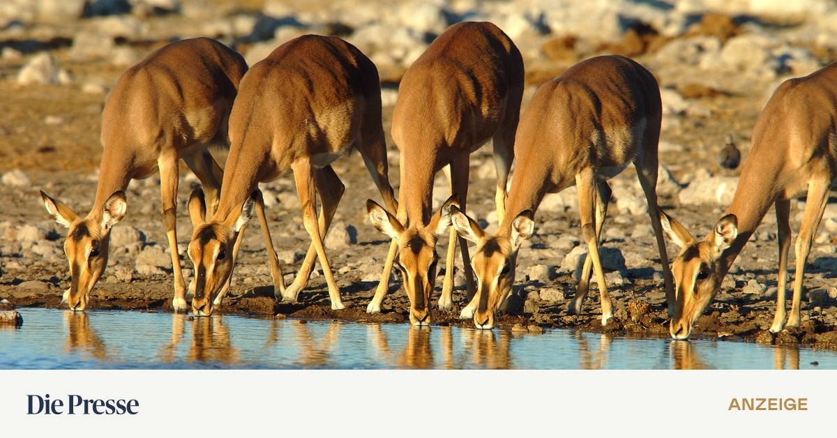 Große Namibia-RundReise mit Victoria-Fällen